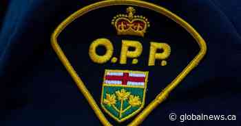 Beachgoers find body of missing Scarborough swimmer: OPP