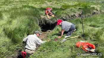 Unlocking a 400-year-old mystery in a Nova Scotia marsh