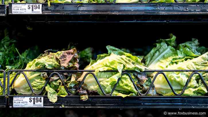 Massive lettuce-linked outbreak expands to 3 more states with over 11,000 illnesses