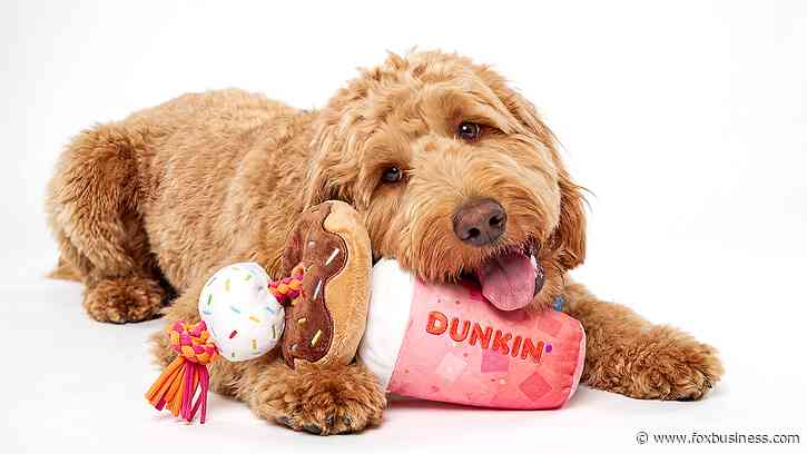 Dunkin' opened its first-ever dog drive-thru with treats and toys for pups on National Dog Day