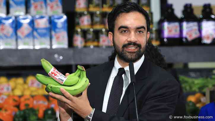 NYC-area chamber of commerce CEO blasts Mamdani grocery plan as 'disastrous' amid legal fight