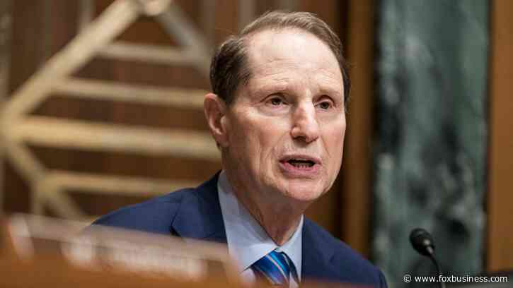 Lawmakers seek probe after airlines’ passenger records allegedly shared with federal agencies without warrants