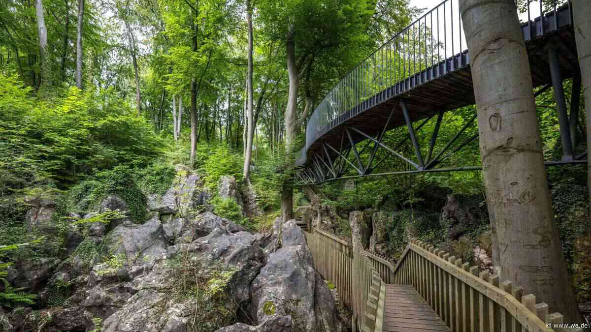 „Bizarre Felsen und faszinierende Unterwelten“: Dieses Ausflugsziel in NRW lockt in den Wald