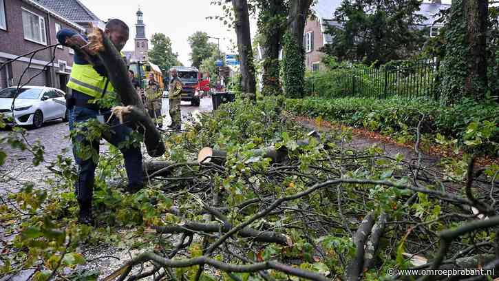 Boom breekt af door bliksem in Udenhout, lantaarnpaal en auto beschadigd