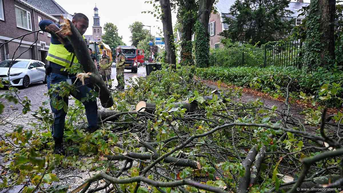 Boom breekt af door bliksem in Udenhout, lantaarnpaal en auto beschadigd