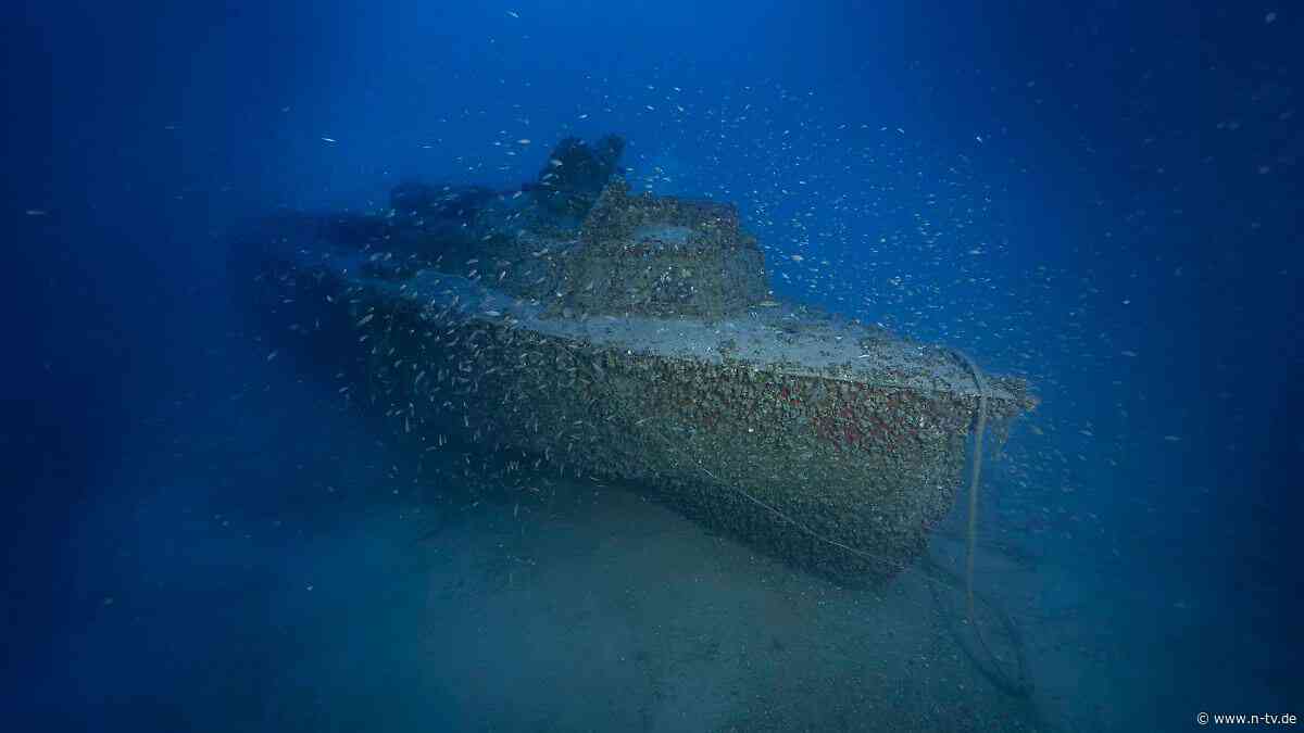 Ein Torpedoboot und zwei U-Boote: Taucher finden drei deutsche Wracks aus dem Zweiten Weltkrieg