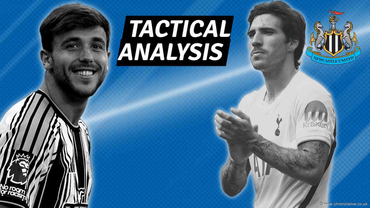 How Newcastle United can take advantage of Sandro Tonali and Tottenham's 'midfield mess'