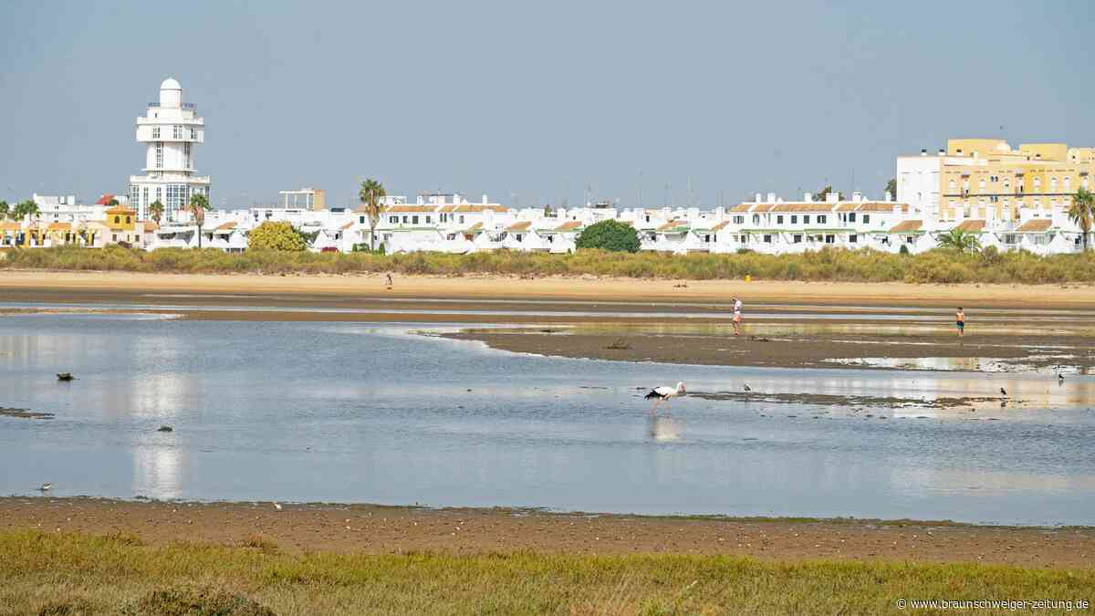 Deutsche Touristin tot an Strand in Spanien gefunden – Mann festgenommen