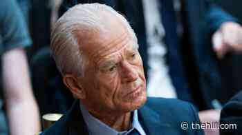 Navarro on Canada trade talks: 'They will stab you in the back'
