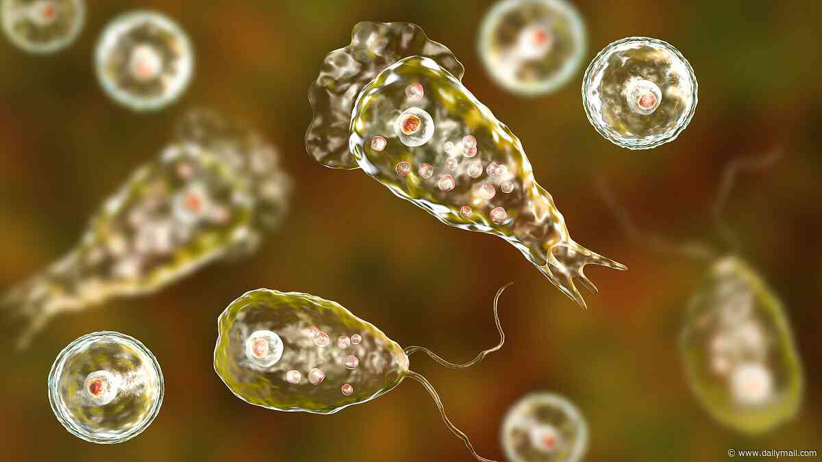 Teen battling rare brain-eating amoeba contracted after swimming in freshwater