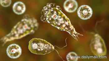 Teen battling rare brain-eating amoeba contracted after swimming in freshwater