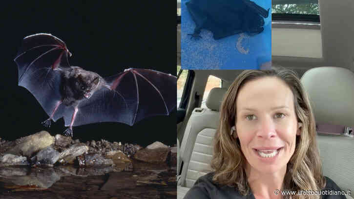 “Un pipistrello stava cercando di infilarsi tra le mie labbra. Ho allungato la mano verso la bocca e ho toccato qualcosa di viscido e peloso”: la storia di Krista Edelman