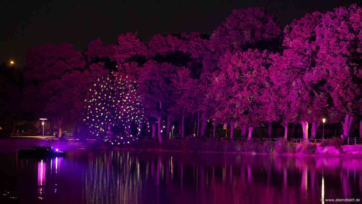 Spektakulär in Szene gesetzt: So schön leuchtet der Stadtparksee in Harburg
