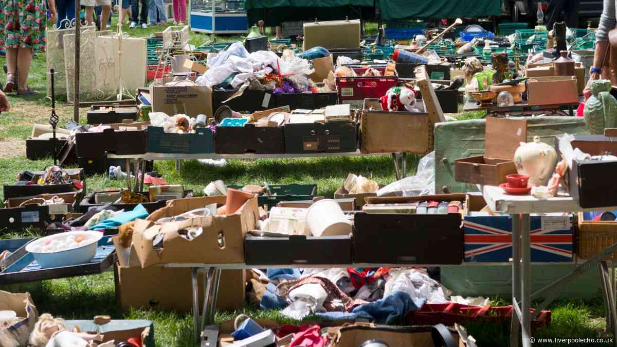 'I spent £17 at car boot sale and can't believe how much I'll make from reselling'