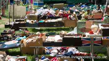 'I spent £17 at car boot sale and can't believe how much I'll make from reselling'