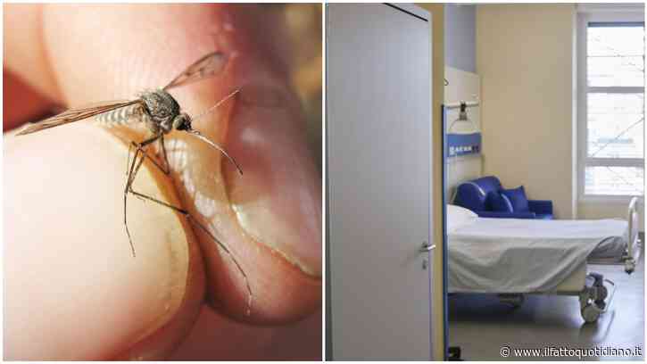 West Nile – 432 casi in Italia, 17 morti: secondo decesso a Oristano. “Caldo e siccità alimentano la circolazione”
