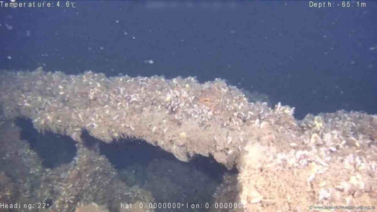 Nazi-Wracks in der Ostsee: Kollision endete für U-Boot-Besatzung tragisch