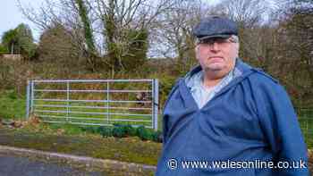 Residents worried about plans for 250-home estate in Neath Port Talbot