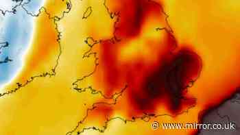 UK weather maps show 31C heat surge after storms as 15 counties hit 29C or more