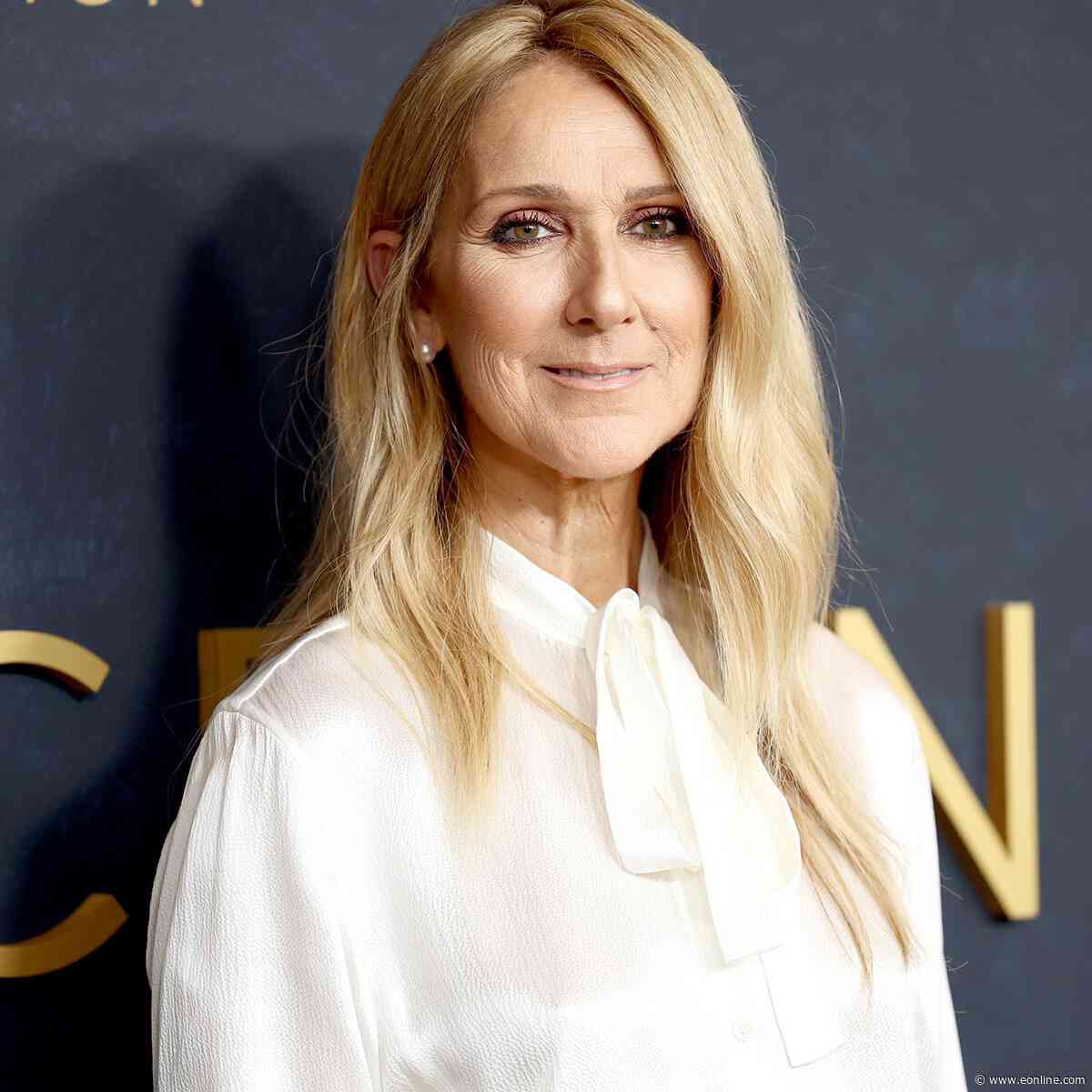 Celine Dion Steps Out for First Public Appearance in 2 Years