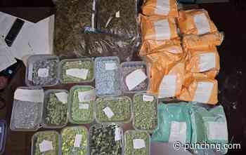 Gambia nabs Nigerian with 9,020 ecstasy tablets, drug-making machine