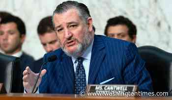Sen. Ted Cruz eyes 2028 presidential run