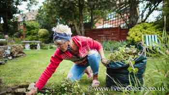 Get rid of weeds from your lawn with expert's method that's 'more effective' than vinegar
