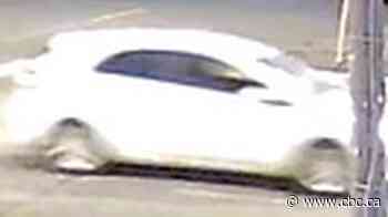 Toronto police seek public's assistance in hit and run near Junction-Wallace Emerson