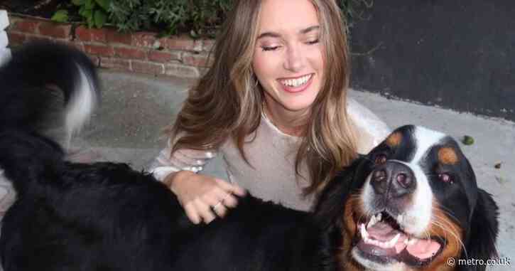 The one question to ask a pet sitter before leaving your dog, according to a vet