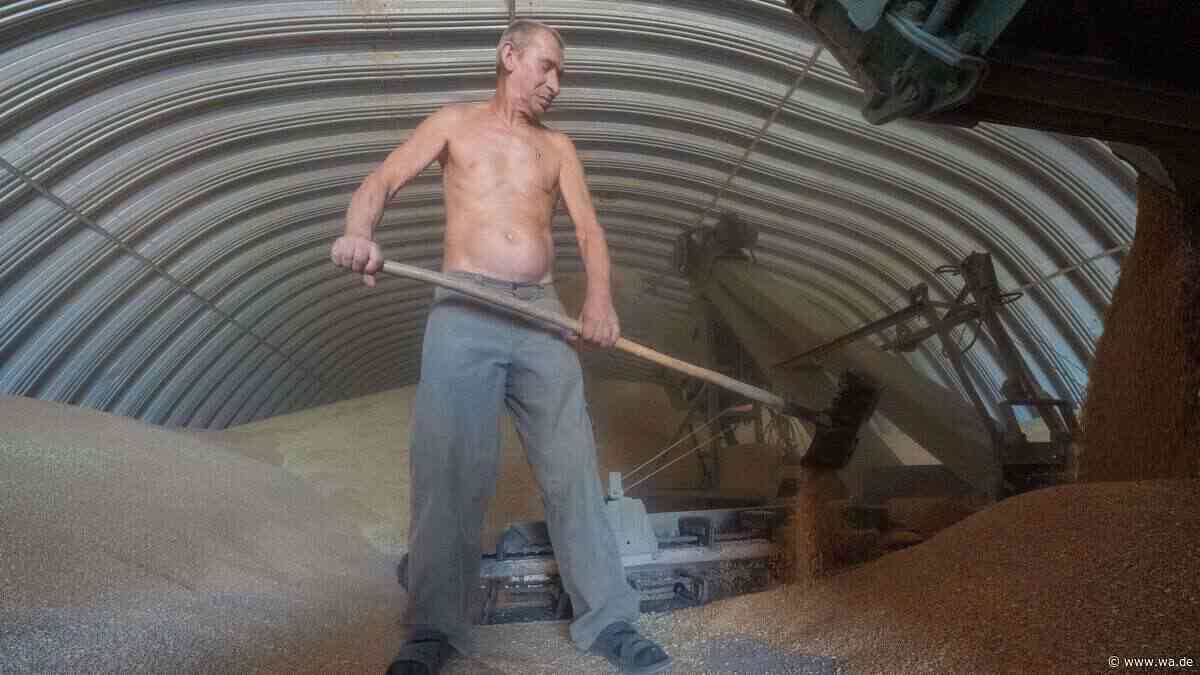 Kein Strom, kein Geld, kein Brot: Putins Schwarzmeer-Blockade würgt Ukraine-Wirtschaft ab