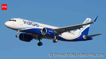 IndiGo Ventures invests in Sarvam to enhance Artificial Intelligence in aviation