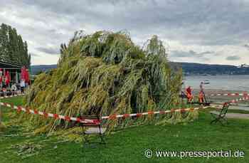 FW Reichenau: Baum auf Liegewiese gestürzt - 28.08.2026