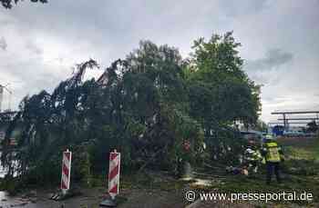 FW-Radolfzell: Unwetterlage fordert Feuerwehr