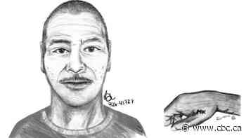 Police release sketch of man who died in Winnipeg, hope to ID him and notify family