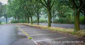 Amateurclub wil meer verlichting na incident bij sportpark: ‘Ouders en kinderen hebben geen veilig gevoel’
