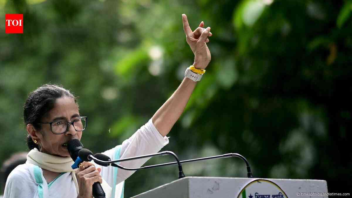 Will hit the streets against BJP’s ‘eggs and bricks’, Mamata tells TMCP rally