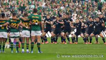 South Africa v New Zealand struck by illness bug as coach issues statement