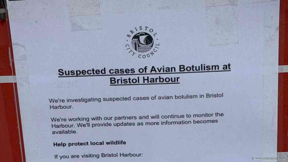 Dog owners warned after suspected deadly illness outbreak