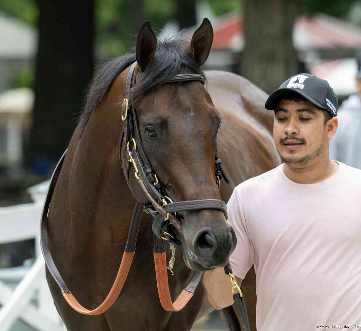 Englishman, speedy stablemate of Cherie DeVaux's Golden Tempo, returns in Jerkens on Travers Day undercard
