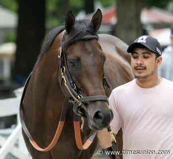 Englishman, speedy stablemate of Cherie DeVaux's Golden Tempo, returns in Jerkens on Travers Day undercard