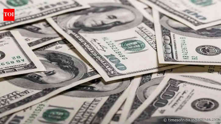 India's forex reserves hit all-time high of $729.33bn after $12.42bn jump