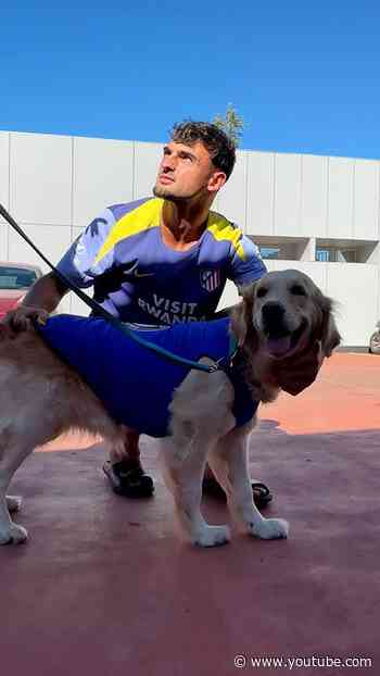 Happy International Dog Day 🐶🥰