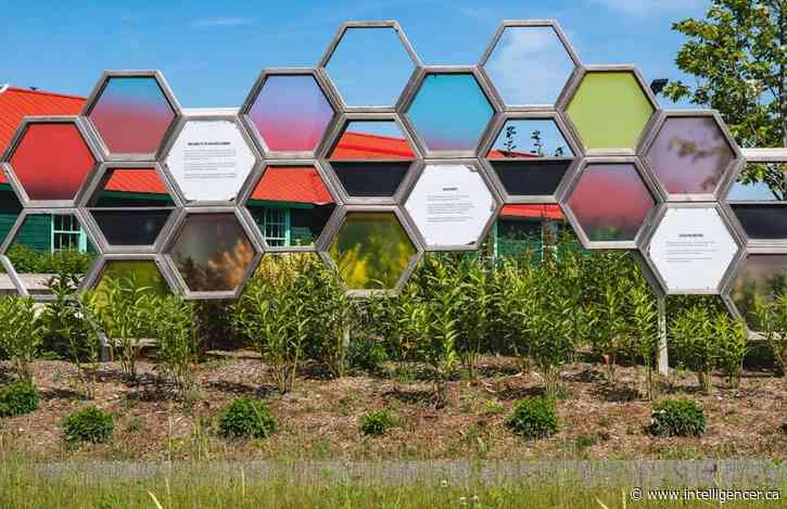Base31 launches free, self-guided Art Walk featuring 11 sculptures