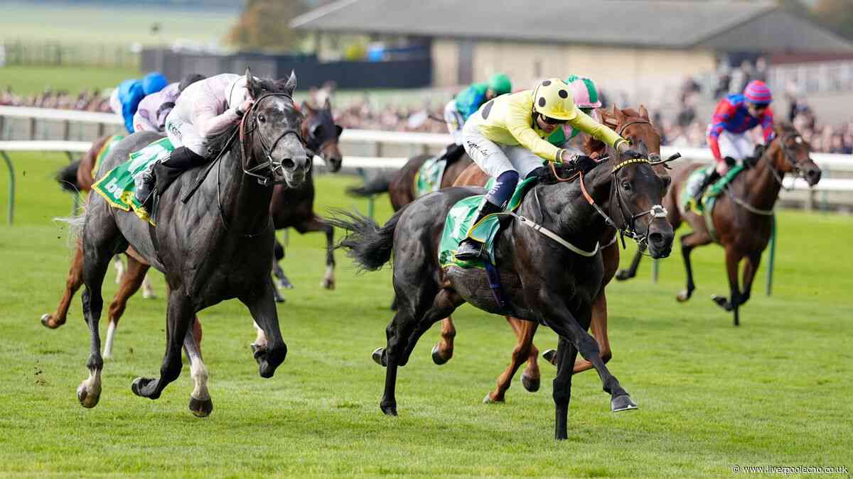 Horse Power: Boiling Point to win the Celebration Mile at Goodwood