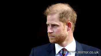 Inside Prince Harry's fight for police protection as he tries 'the heartstrings route'