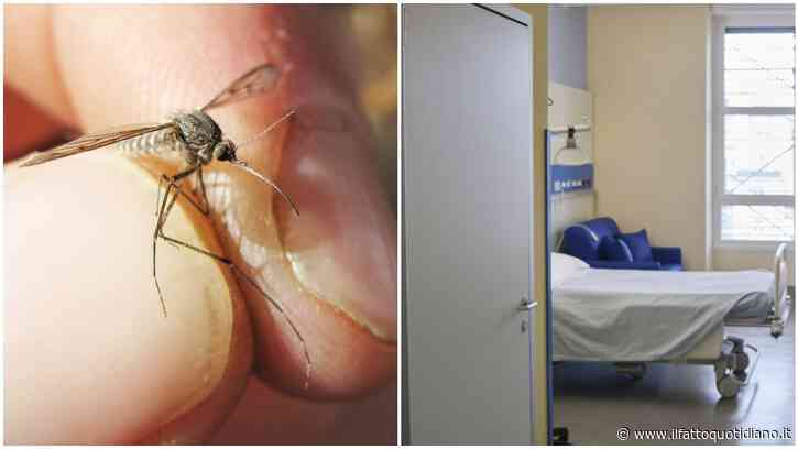 West Nile – 432 casi in Italia e 17 morti da inizio anno: secondo decesso a Oristano. “Caldo e siccità alimentano la circolazione”