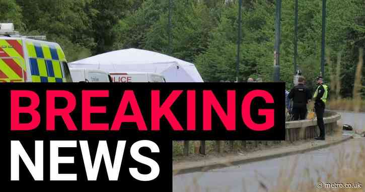 Seven more arrested in the wake of A66 crash, bringing total to 24