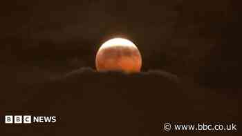 Watch: Stargazers around the world glimpse 'Blood Moon' lunar eclipse