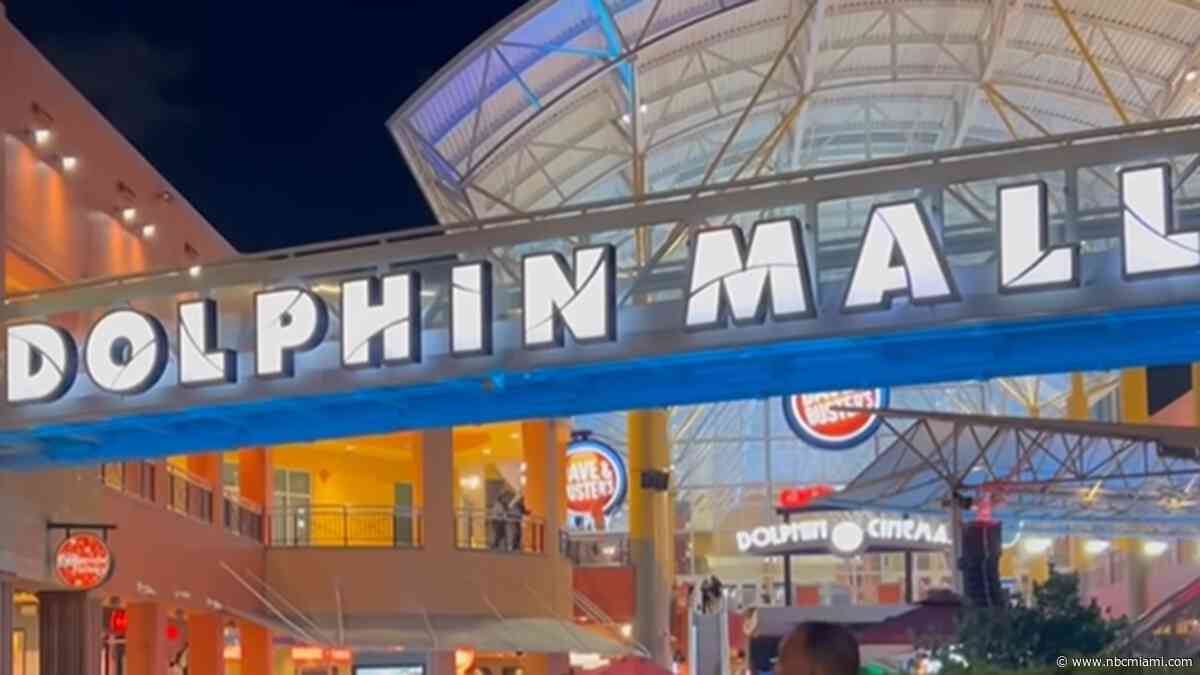 Woman hit officer who was breaking up boyfriend's fight at Dolphin Mall, cops say