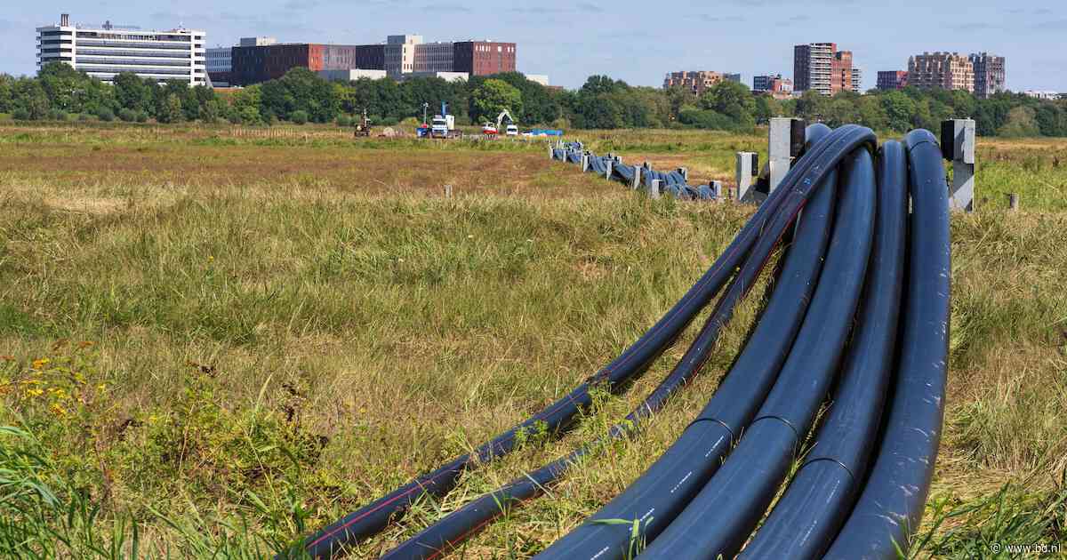 Tientallen meters zwarte buizen in De Gement: Aa en Maas legt nieuwe rioolleiding aan en Enexis stroom